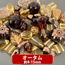 画像をギャラリービューアに読み込む, 【チェコファンシーカラーパック《プラチナ》】約4mm- (約20g)【チェコ ビーズ デザイン ミックス】