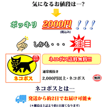 画像をギャラリービューアに読み込む, 【送料無料】【お試しパック2000円ポッキリ訳あり純天然石ビーズセット】 約6-12mm (約120g)
